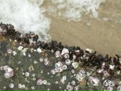 Roman Khromtsov фотография #29 (источник - https://vk.com/id1180370)