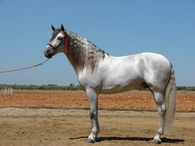 Сергек Соян фотография #5