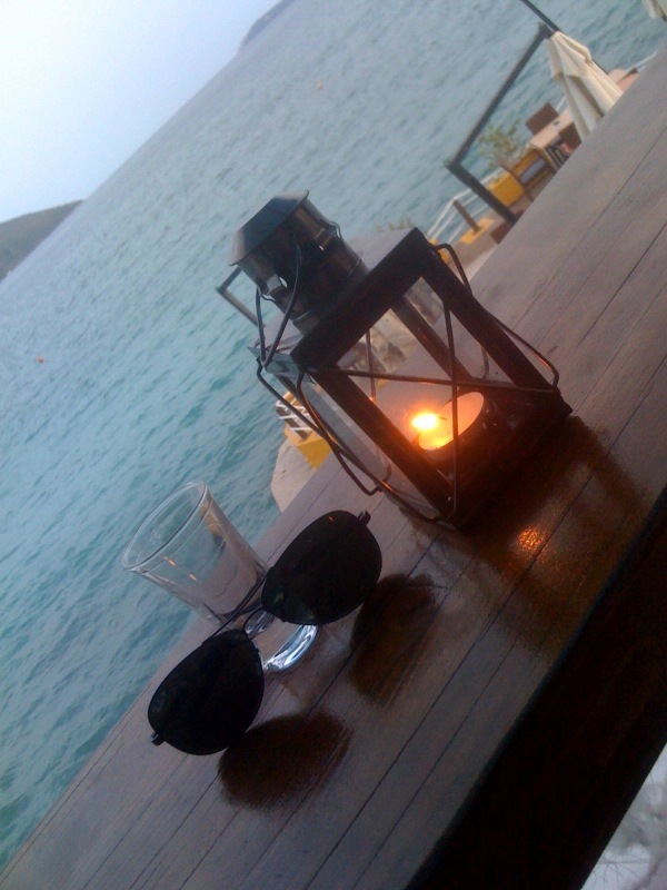 Лана Холмс фотография #19