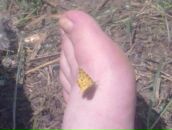 Фотография Волнухиной Марии