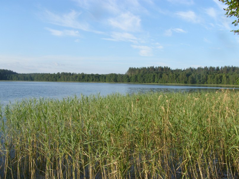 Михаил Симоненков фотография #50