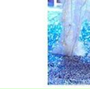 Вова Іщенко фотография #28 (источник - https://vk.com/id152020108)