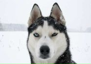 Фотография Мантуровой Радаверы