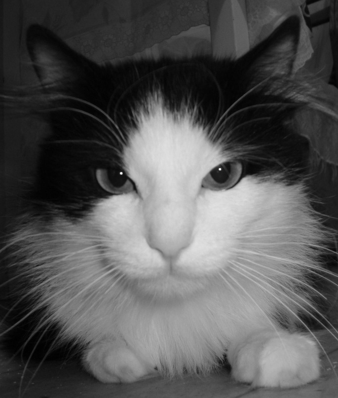 Владимир Олюнин фотография #45