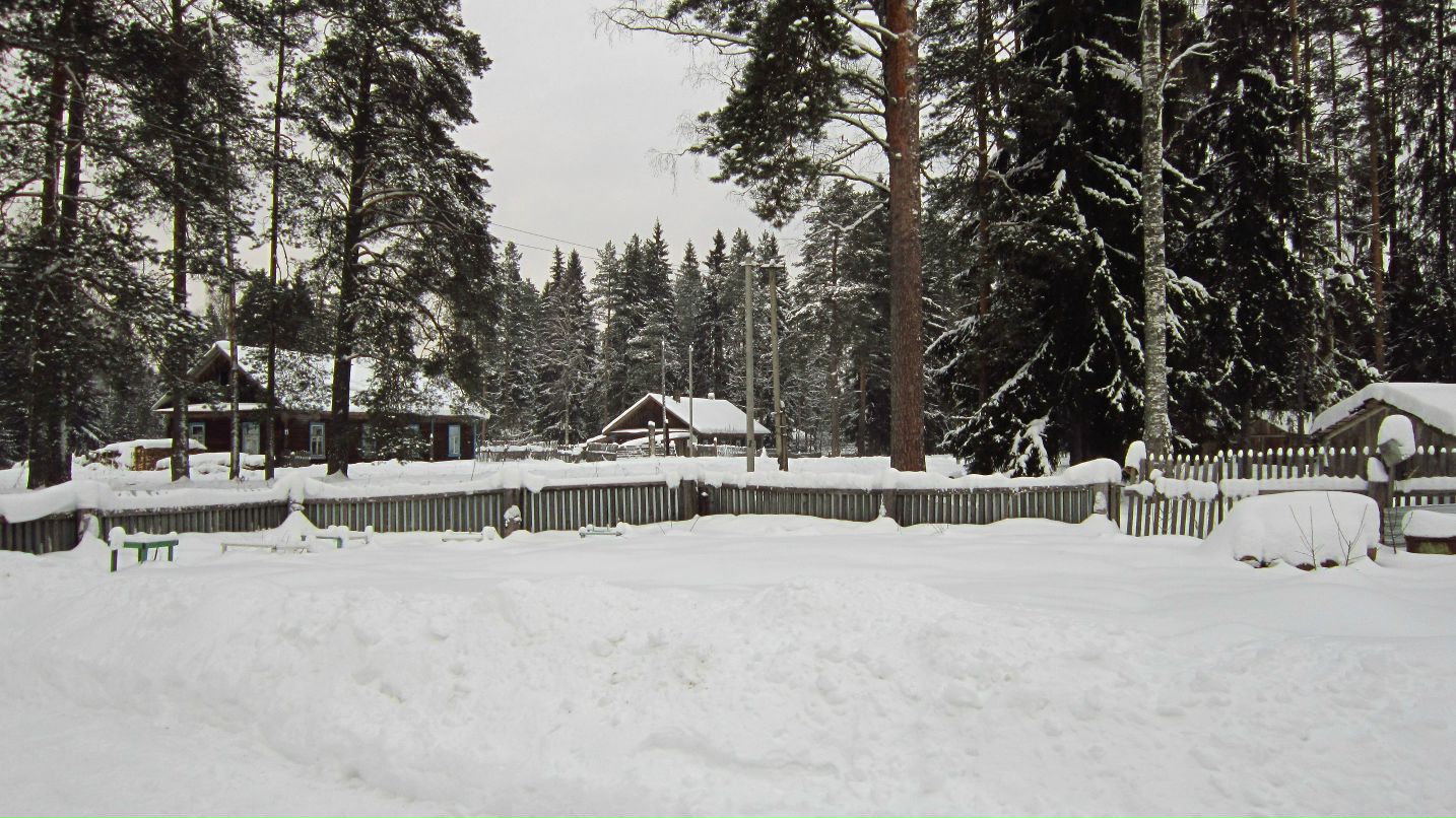 Сергей Новков фотография #50