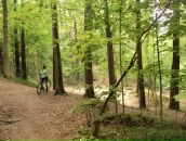 Женя Швецова фотография #27 (источник - https://vk.com/id340185)