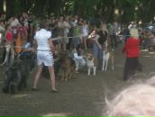 Васька Могіш фотография #40 (источник - https://vk.com/id27808011)