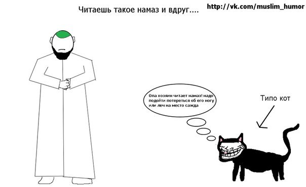 №20, Тимур Хадиев, Казань №20, Тимур Хадиев, Казань