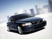 Фотография Волотовича Алексея