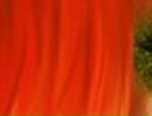 Юліанка Смеричевська фотография #2 (источник - https://vk.com/id75894250)