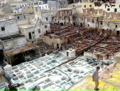 Дмитрий Фёдоров фотография #14 (источник - https://vk.com/id28347)