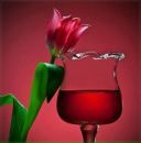 Izzet Ozdemir фотография #50 (источник - https://vk.com/id159626430)