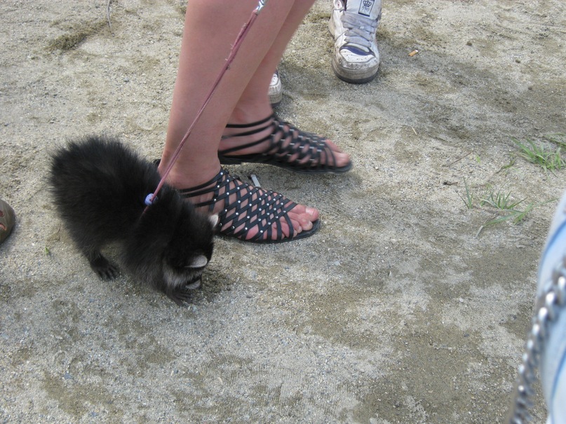 Сергей Савельев фотография #40