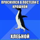 Фотография Шлобина Дмитрия