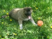 Аня Поліщук фотография #4 (источник - https://vk.com/id10406268)