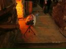 Богдан Шілінг фотография #5 (источник - https://vk.com/id162042594)