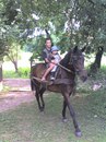Василь Біляшевич фотография #25 (источник - https://vk.com/id132469598)
