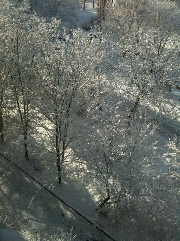 Антон Бебеш фотография #47