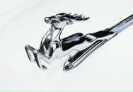 Дарья Прошко фотография #42 (источник - https://vk.com/id42881)