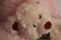 Фотография Макаровой Елены