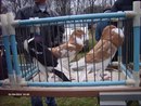Вадім Олексюк фотография #5 (источник - https://vk.com/id164211598)