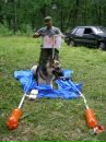 Фостер Светлые_истоки фотография #12 (источник - https://vk.com/id29935141)