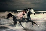 Фотография Глуховой Нины