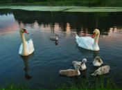 Фотография Амосовой Зои