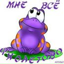 Анна Шальнова фотография #36 (источник - https://vk.com/id139224935)