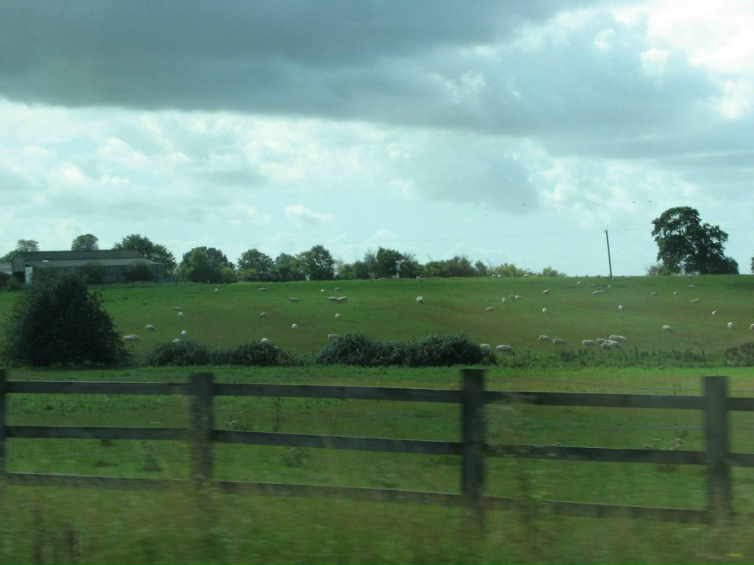 Ромул Рем фотография #29