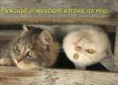 Коля Сивокінь фотография #25 (источник - https://vk.com/id163576980)