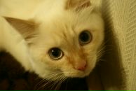 Фотография Медовой Татьяны