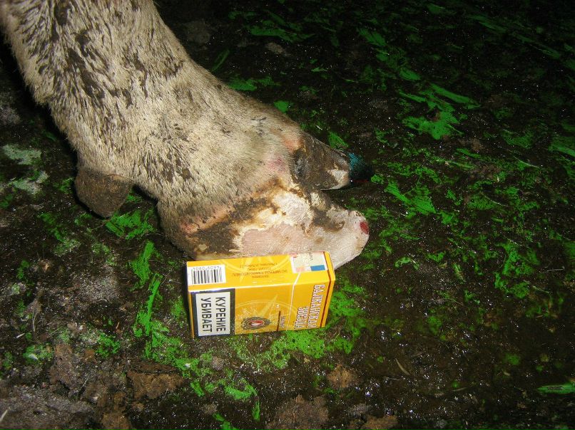 Иван Плотников фотография #40