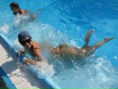 Фотография Дедяевой-Коваленко Светланы