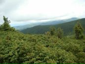 Αнна Κалашникова фотография #16 (источник - https://vk.com/id84410140)