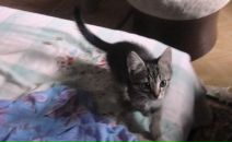 Иван Амельченко фотография #10 (источник - https://vk.com/id684343)