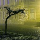 Фотография Ridley Alexandra