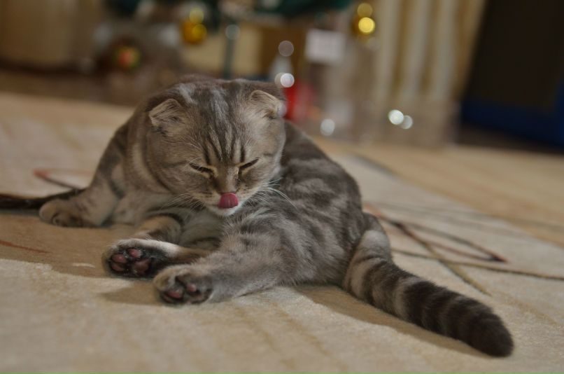 Дмитрий Вдовин фотография #26