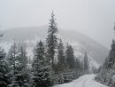 Надія Шепітчак фотография #29 (источник - https://vk.com/id15766533)