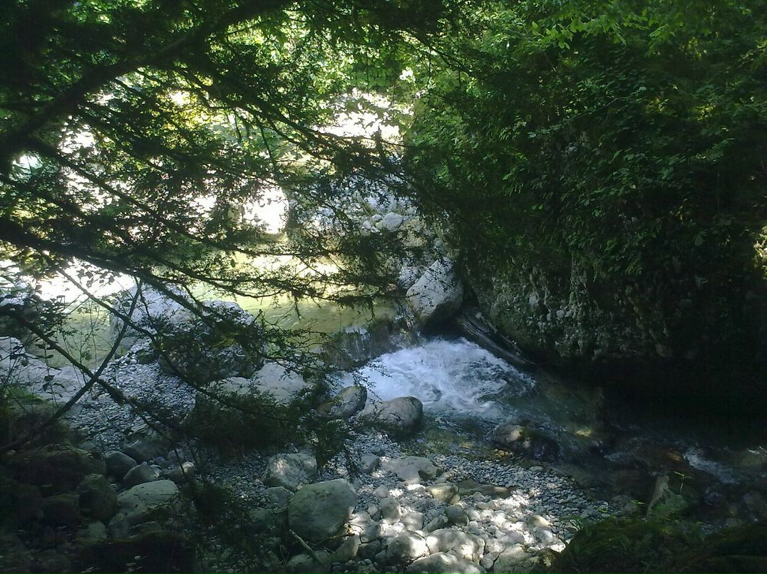 Igor Igor фотография #49