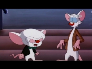 Пинки и Брейн (3 Сезон 25 Серия)