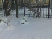 Фотография Semenkova Irina