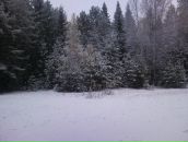 Фотография Сидоренко Сергея