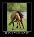Андрій Думанський фотография #30 (источник - https://vk.com/id44364731)