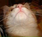 Фотография Ивановны Инны