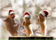 Фотография Польшиной Алисы