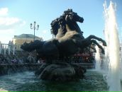 Фотография Никишовой Анастасии