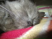 Фотография Мартынец Юлии