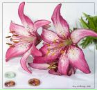 Фотография Семиковой Ольги