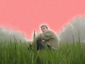 Артем Стёпочкин фотография #47 (источник - https://vk.com/id6892763)